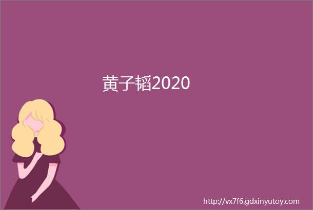 黄子韬2020