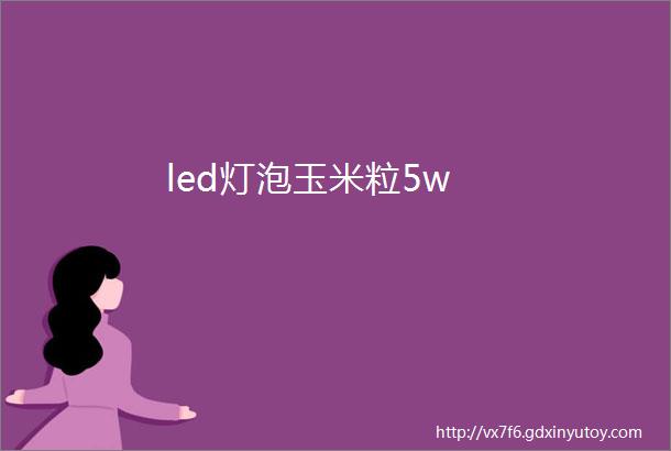 led灯泡玉米粒5w